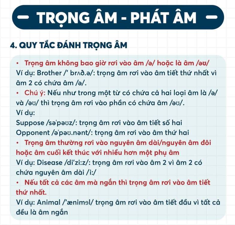 Âm thanh (Phonetic System) giải pháp học ngữ âm hiệu quả cho mọi lứa tuổi