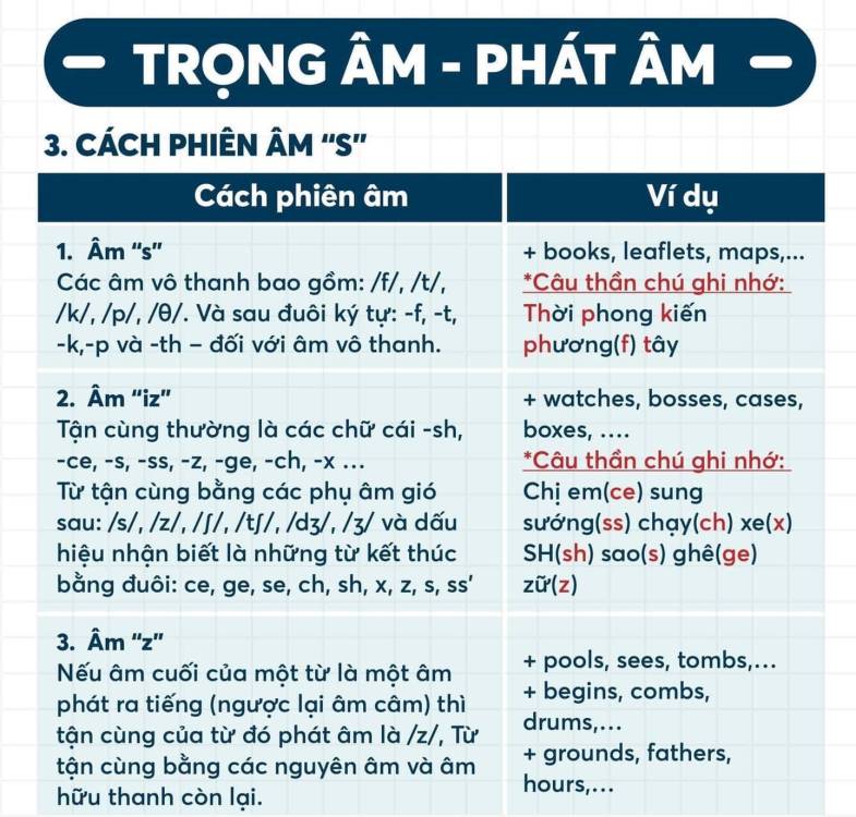 Âm thanh (Phonetic System) giải pháp học ngữ âm hiệu quả cho mọi lứa tuổi