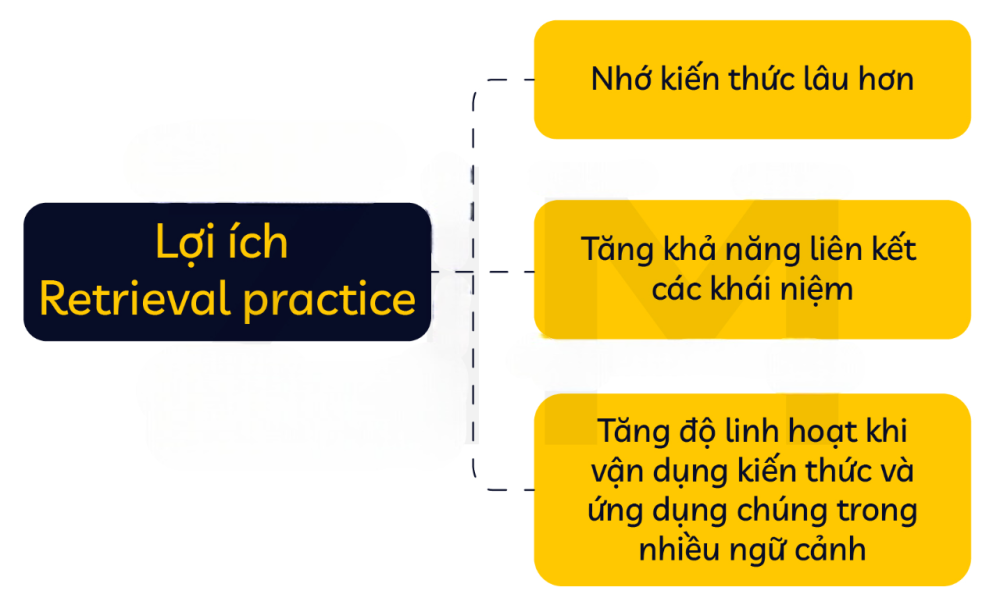 Gợi nhớ từ vựng thông minh hơn với phương pháp Retrieval Practice