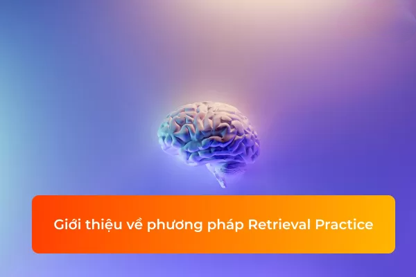 Gợi nhớ từ vựng thông minh hơn với phương pháp Retrieval Practice